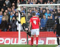 /album/forest-portsmouth/luke-chambers-jpg1/